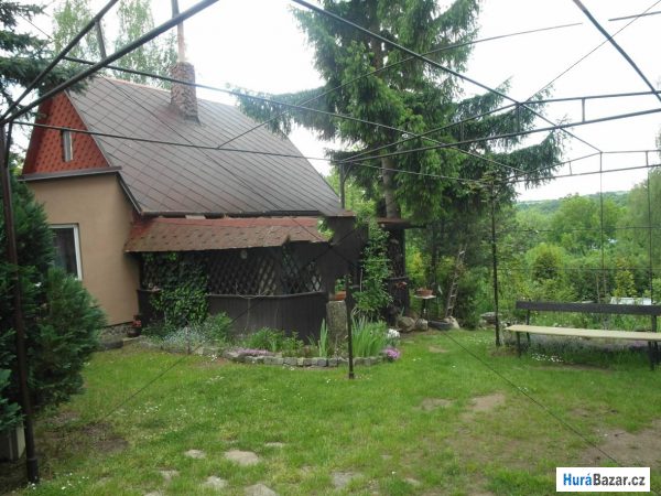 detailní fotografie