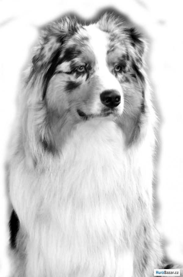 detailní fotografie