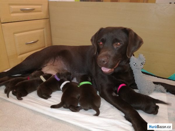 detailní fotografie