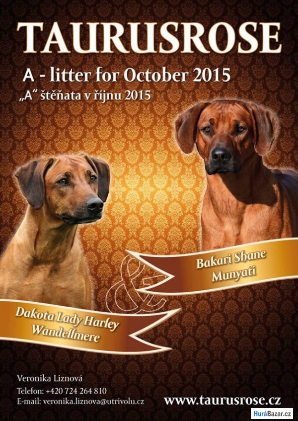 detailní fotografie