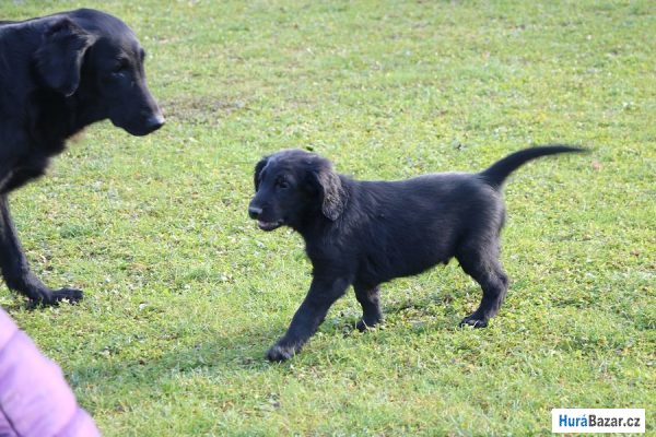 detailní fotografie