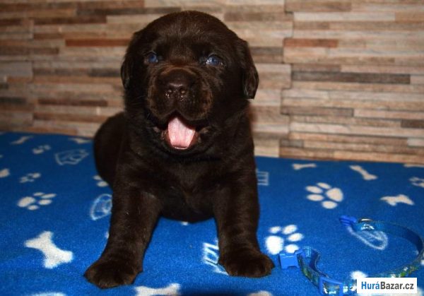 detailní fotografie