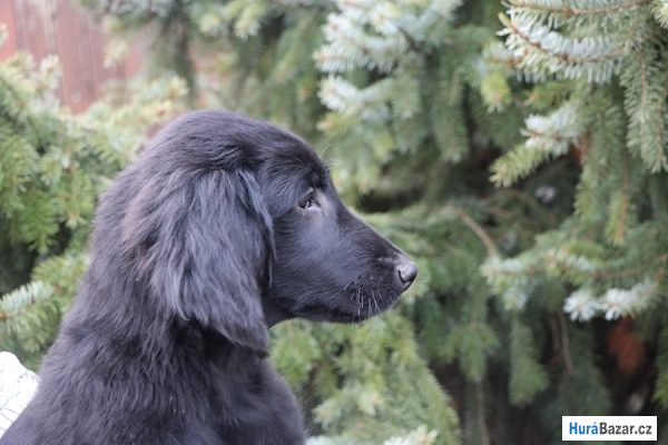 detailní fotografie