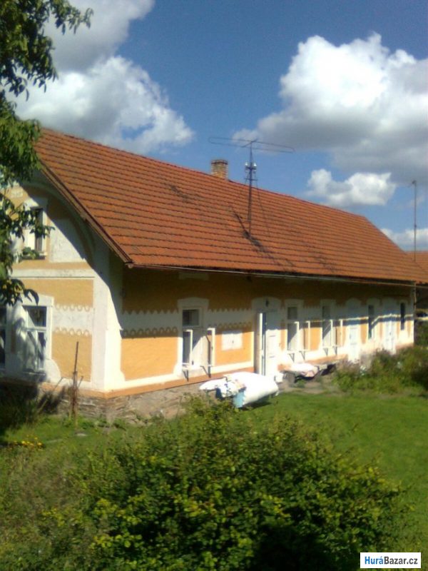 detailní fotografie