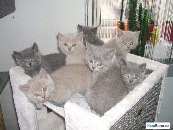 detailní fotografie