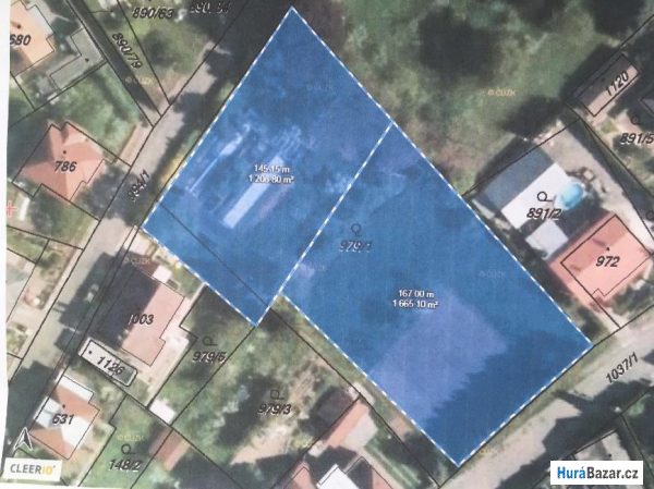 detailní fotografie