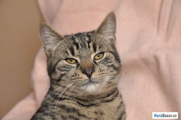 detailní fotografie