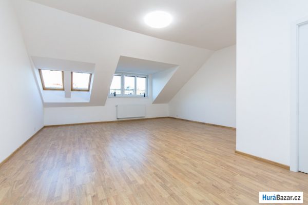 detailní fotografie