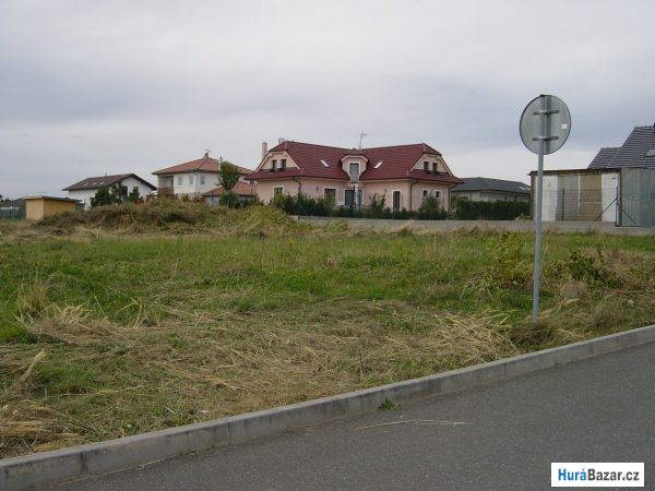 detailní fotografie