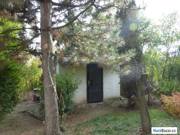 detailní fotografie