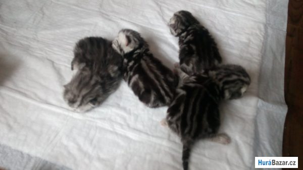 detailní fotografie