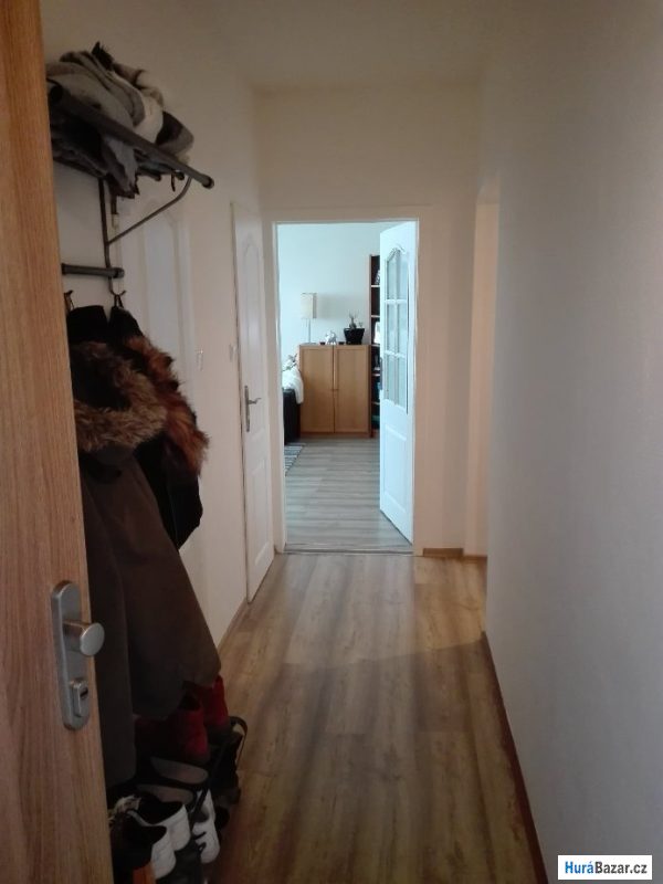 detailní fotografie