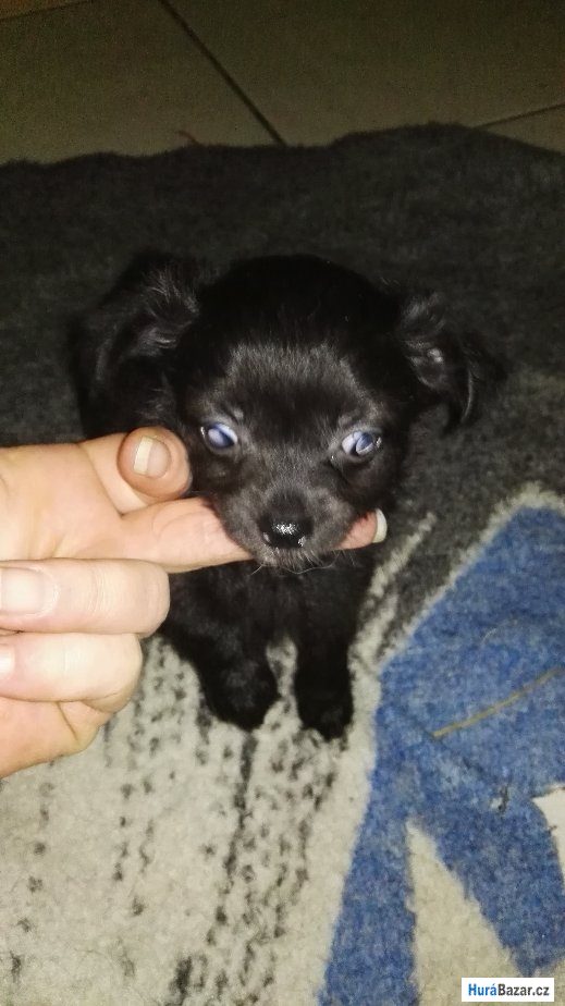 detailní fotografie