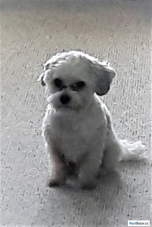 detailní fotografie