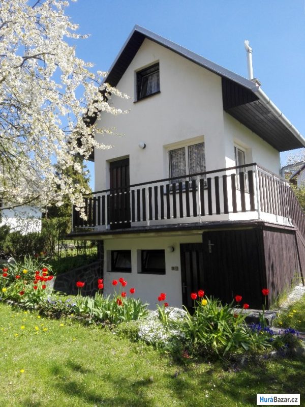 detailní fotografie