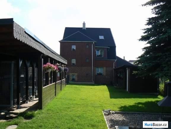 detailní fotografie