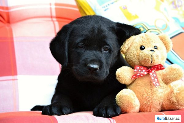 detailní fotografie