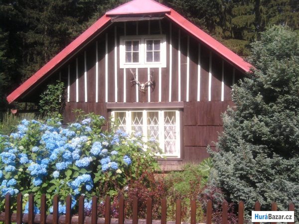 detailní fotografie