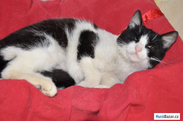 detailní fotografie