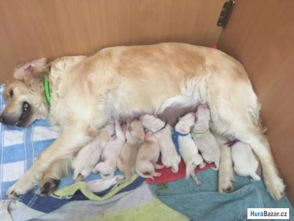 detailní fotografie