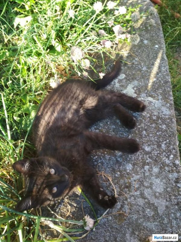 detailní fotografie