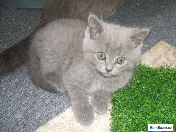 detailní fotografie