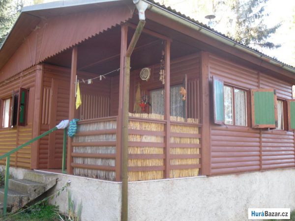 detailní fotografie