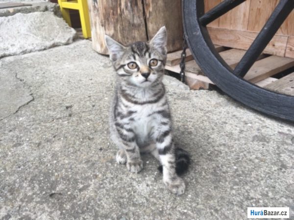 detailní fotografie