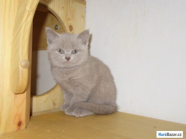 detailní fotografie