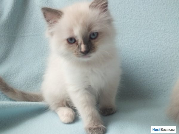 detailní fotografie