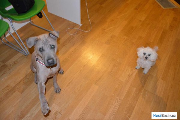 detailní fotografie