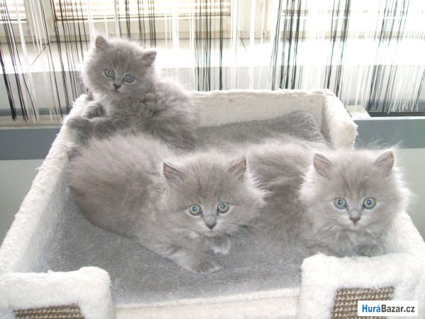 detailní fotografie