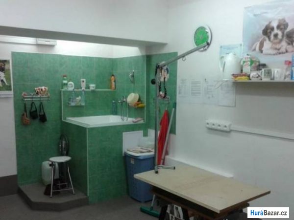 detailní fotografie