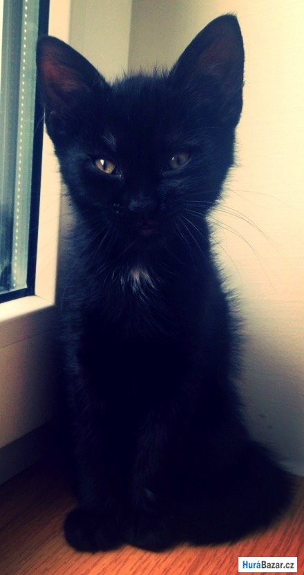 detailní fotografie