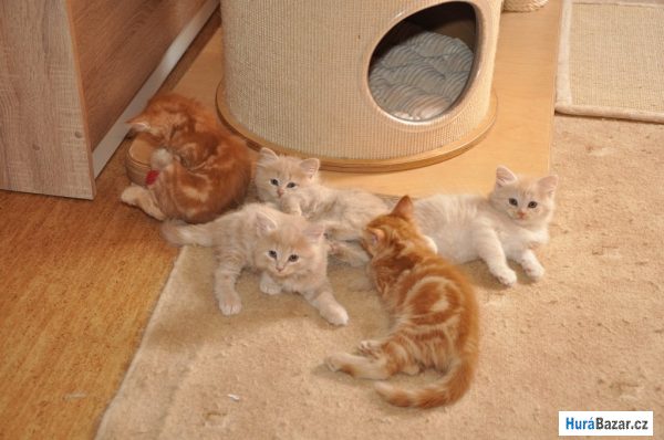 detailní fotografie