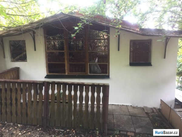 detailní fotografie