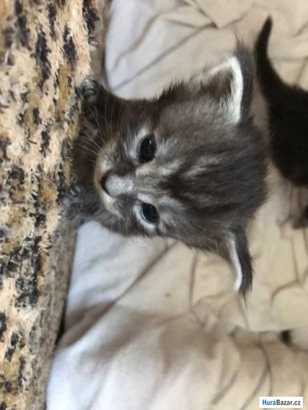 detailní fotografie