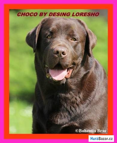 detailní fotografie