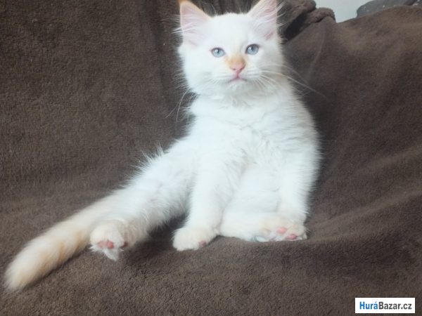 detailní fotografie