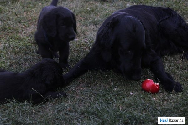 detailní fotografie