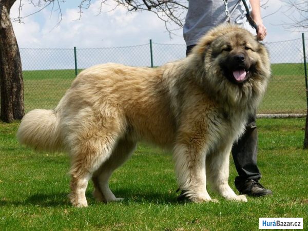 detailní fotografie