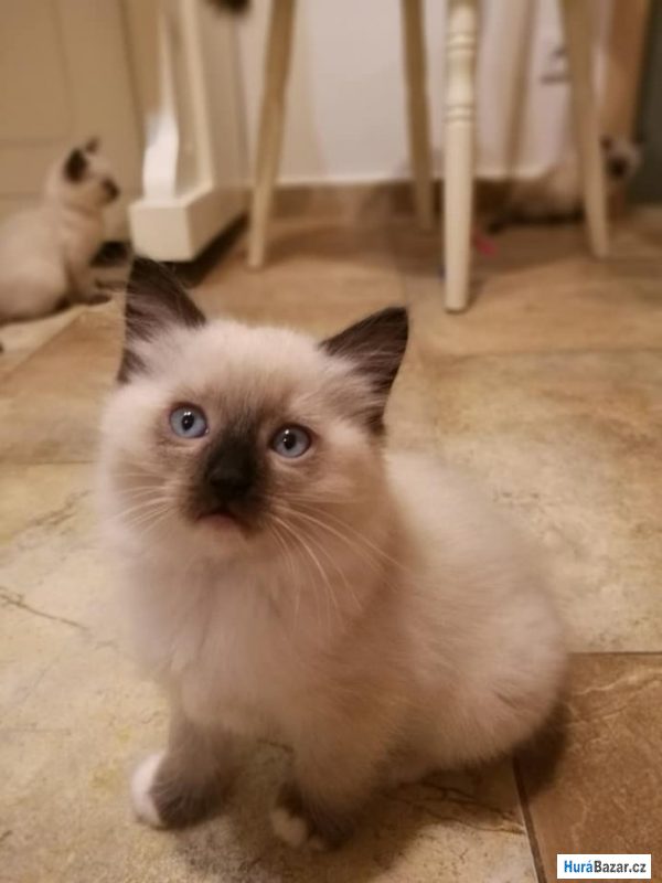 detailní fotografie