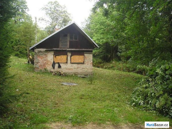 detailní fotografie