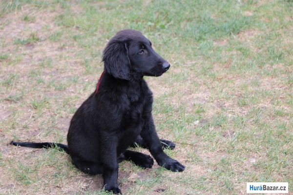 detailní fotografie