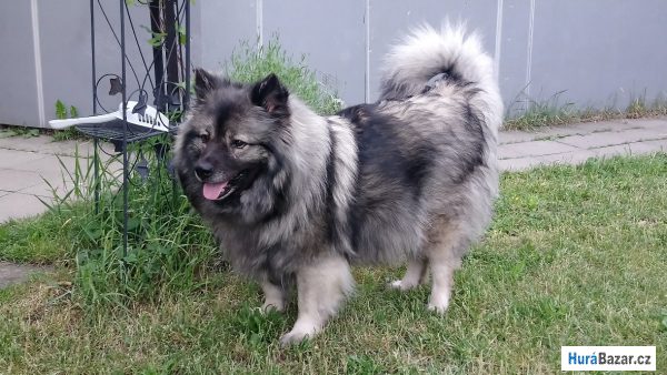 detailní fotografie