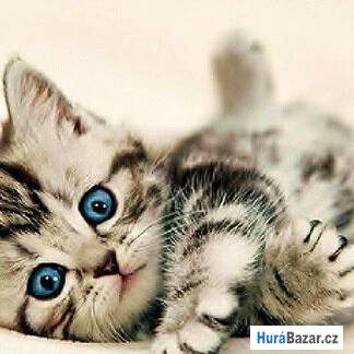 detailní fotografie