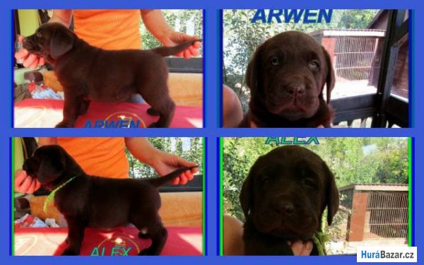 detailní fotografie