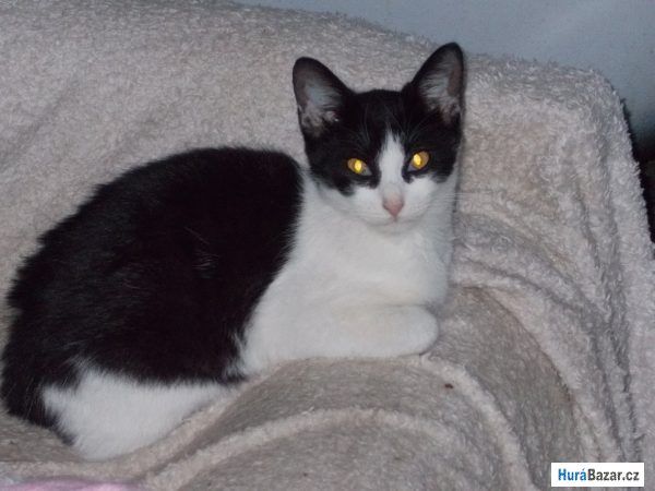 detailní fotografie