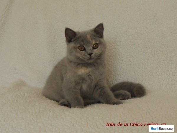 detailní fotografie