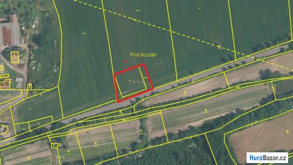 detailní fotografie